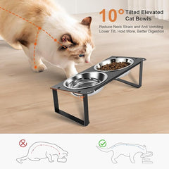 1 Set Elevated Cat Food Water Bowls, 4 Replacement Stainless Steel Bowls for Indoor Pet with Cute Metal Stand, 10° Tilted Anti-Vomiting Raised Wide Shallow Cat Dishes Whisker Friendly for Kitten,Puppy