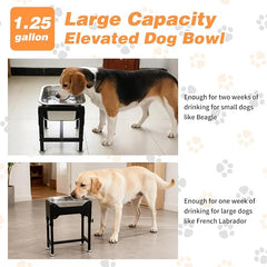 1.25 Gallon Elevated Dog Water Bowl, 4-Height Raised Stand | Stainless Steel Raised Bowl, 4 Heights 9.65-15.16 in, Non-Slip Feet, Small and Medium Dogs, Indoor Outdoor Use, Easy to Clean