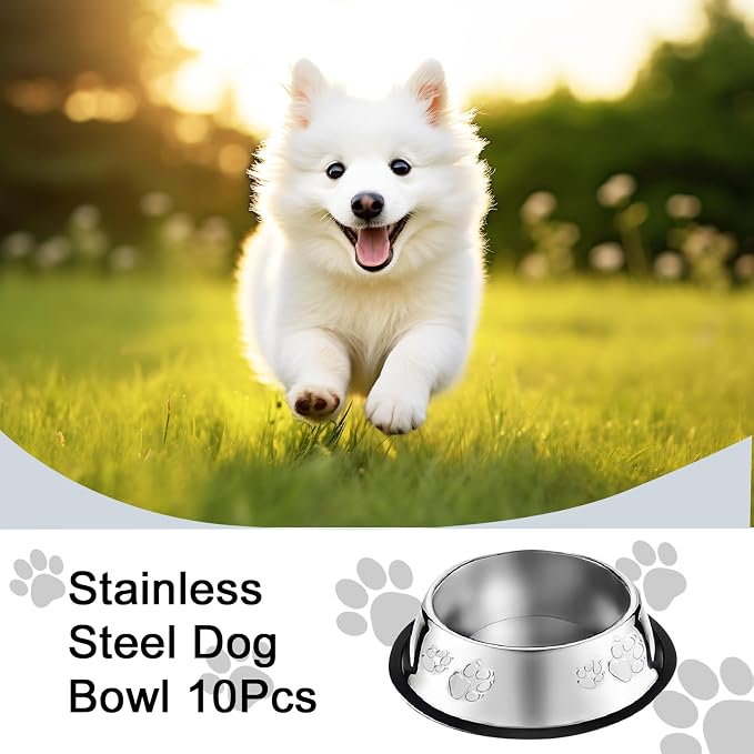 10 Pcs Stainless Steel Dog Bowl Pet Feeding Bowl with Rubber Base Non-Slip Pet Dishes Metal Dog Bowls Pet Food and Water Bowls for Small Medium Animals Kitten Rabbit (10.1 oz)