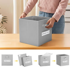 11x11 storage cube bins (Set of 10) Foldable Fabric storage cubes with 10 Labels Window Cards & a Pen,11 inch cube storage bin,Closet Organizers for Shelves,Cubby Organizer Boxes,Light Grey