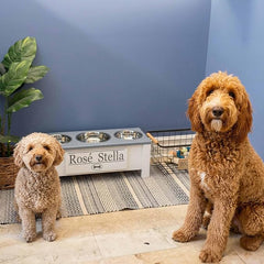 3 Bowl Dog Feeding Station, Personalized Triple Bowl Food Stand Medium Dogs | Farmhouse Style, Elevated Wood Stand, Storage Container, Stainless Steel Bowls, Raised Anti-Slip Feeder, Made in USA